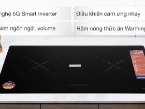 Bếp từ Kocher DI-808GE