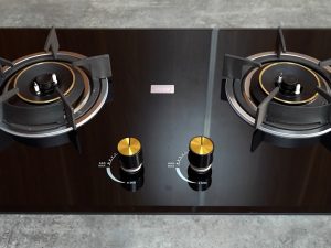 Bếp gas âm LT-389C