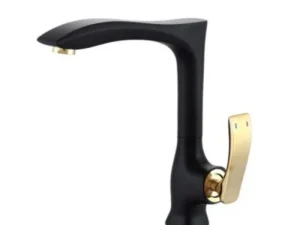 Vòi rửa bát Canzy CZ 805D